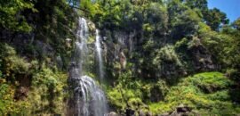 Las 10 maravillosas cascadas del paraíso natural en Honey, Puebla